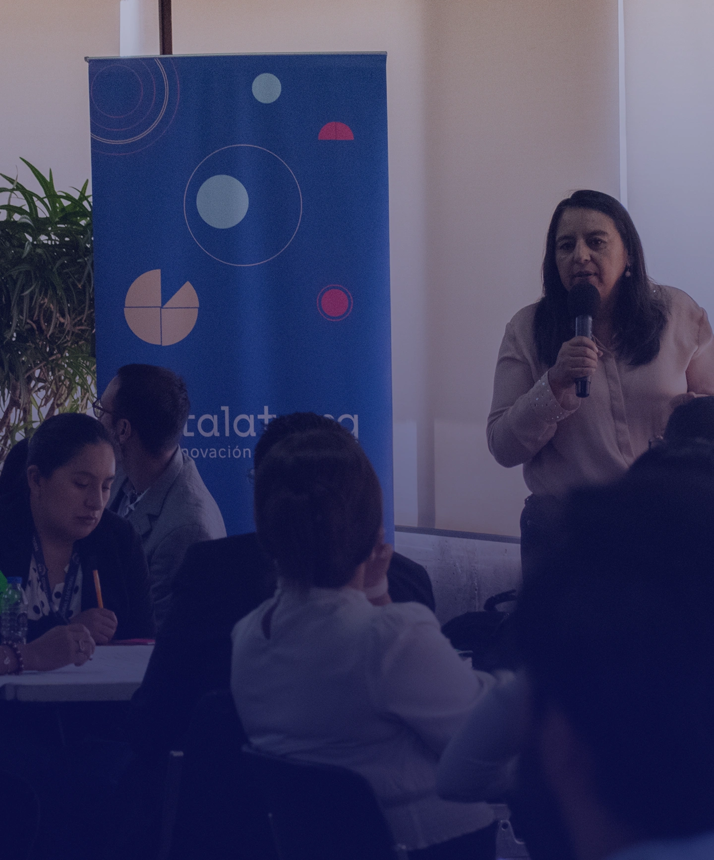 Instituciones impactadas